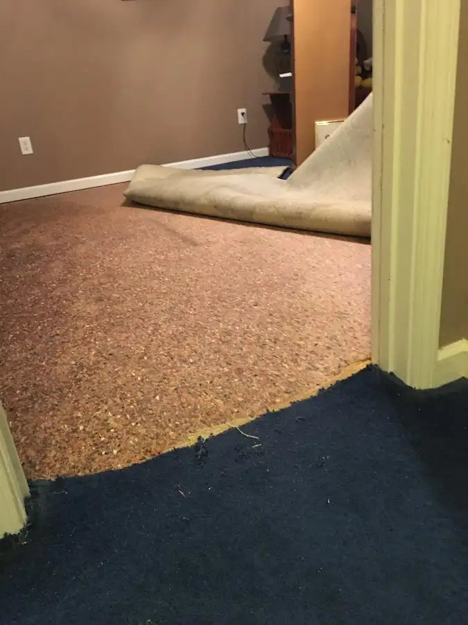 Carpet pad removal revealing water damage during Drying & Dehumidification in Palmer