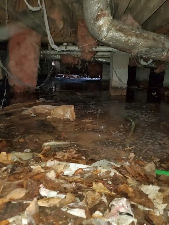 Crawl space flood assessment for Leak Detection & Repair in Palmer
