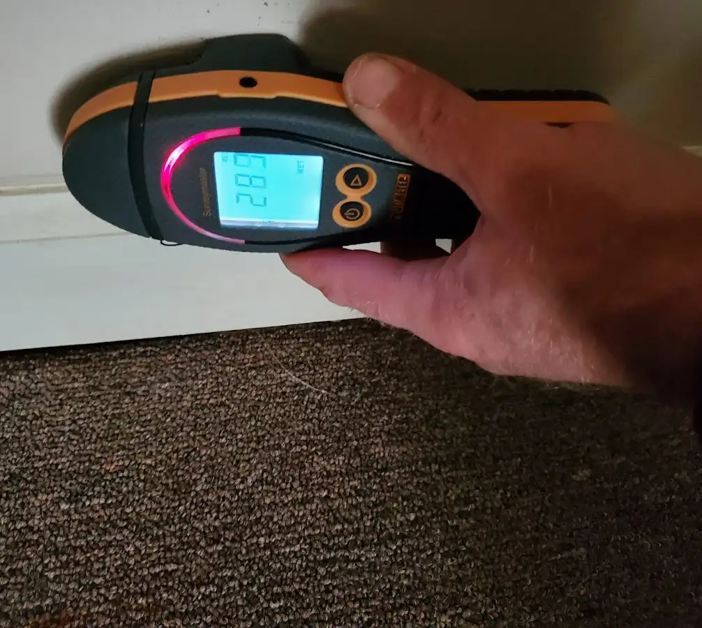 Moisture detection at baseboard during Burst Pipe Cleanup in Palmer